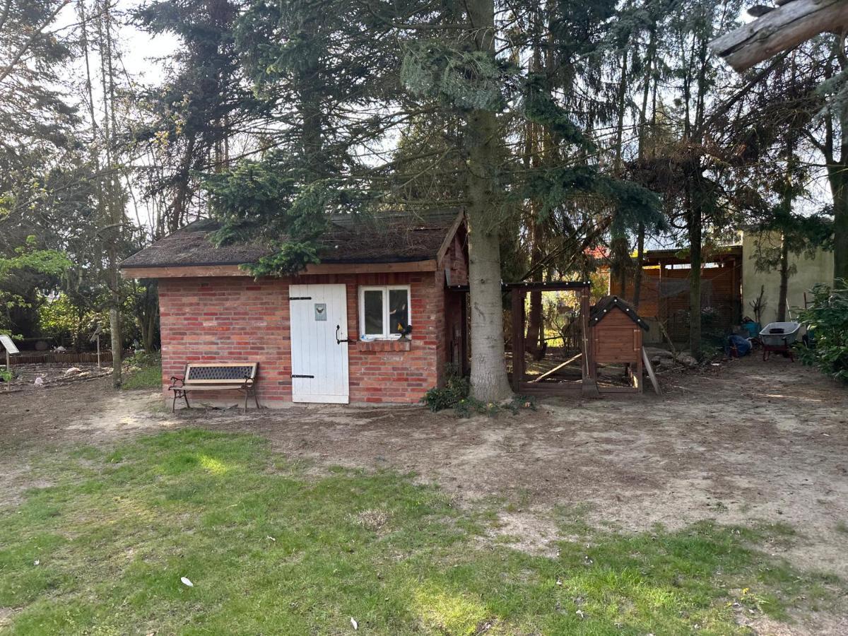 Apartment Linas Wohlfuehloase Hameln